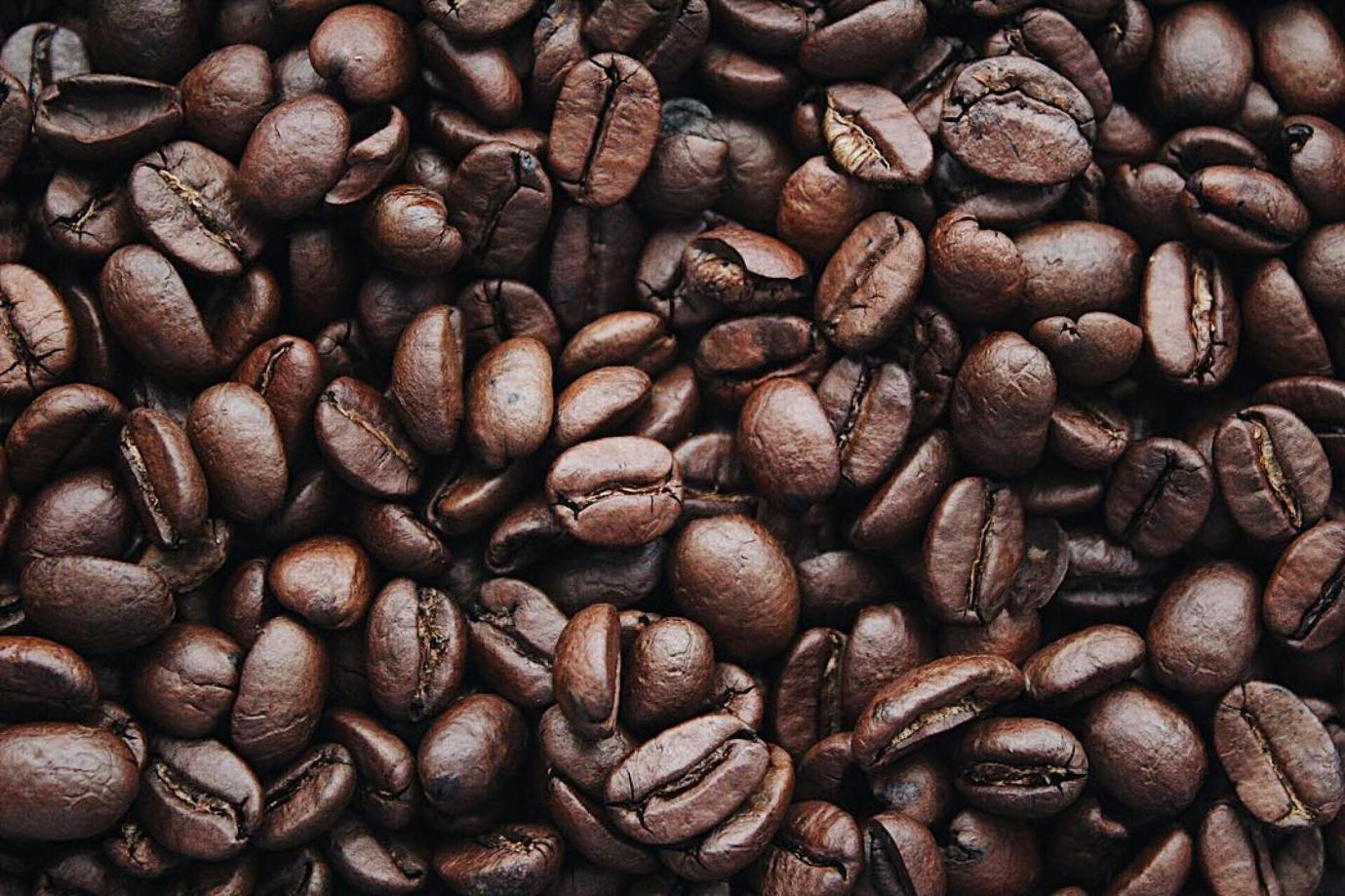A close-up view of coffee beans.